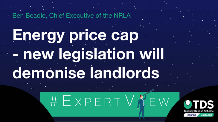 Energy price cap – new legislation will demonise landlords