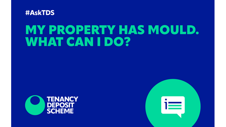 #AskTDS: My property has mould. What can I do?