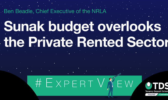 #ExpertView: Sunak budget overlooks the private rented sector