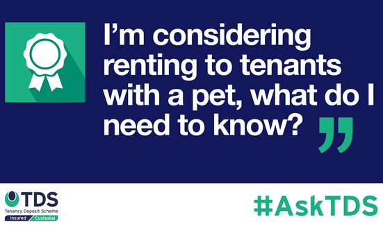 #AskTDS: I’m considering renting to tenants with a pet, what do I need to know?