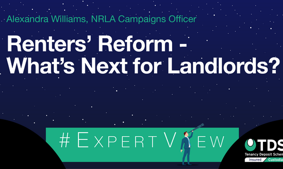 #ExpertView Renters' Reform - What's Next for Landlords?