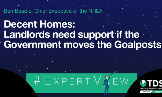 #ExpertView - Decent Homes: Landlords need support if the government moves the goalposts