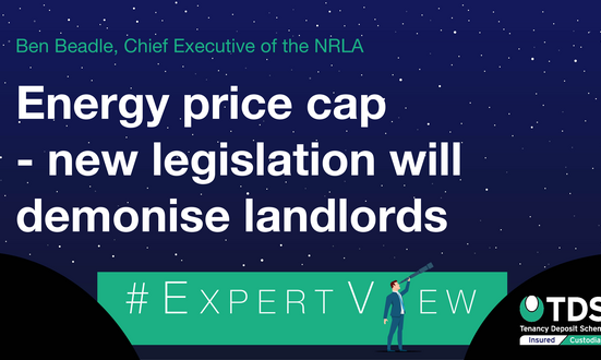 Energy price cap – new legislation will demonise landlords