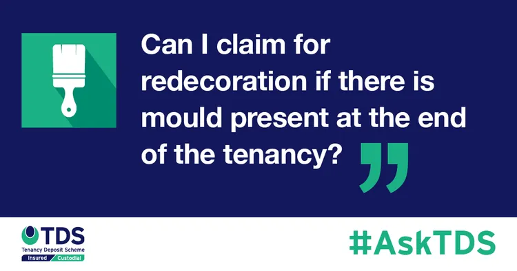 Image saying Can I claim for redecoration if there is mould present at the end of the tenancy?