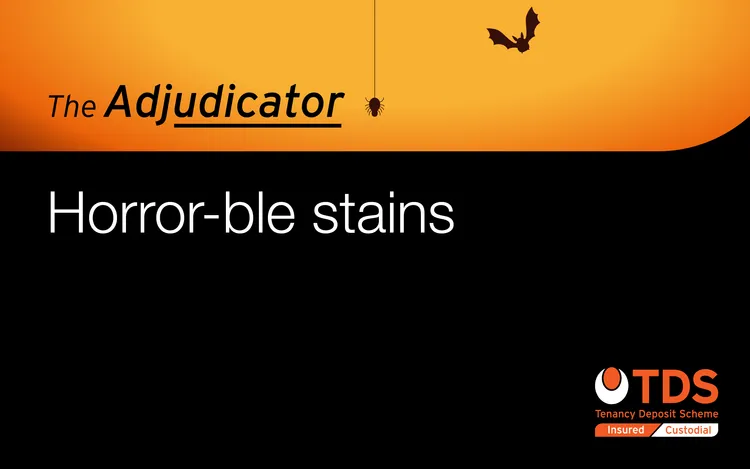 The Adjudicator - Horror-ble stains