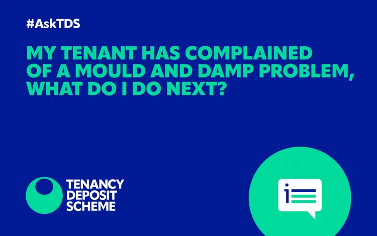 #AskTDS: My tenant has complained of a mould and damp problem, what do I do next?