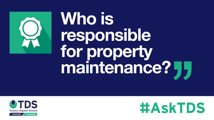 In this week's #ASKTDS, we answered a question regarding property maintenance: 'Who is responsible for what when it comes to property maintenance tasks in a rental property?'.