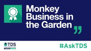 AskTDS blog image - Monkey business in the garden