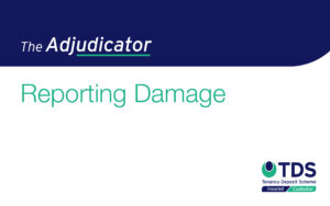 The Adjudicator - Reporting Damage