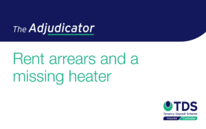 The Adjudicator - Rent Arrears and a Missing Heater