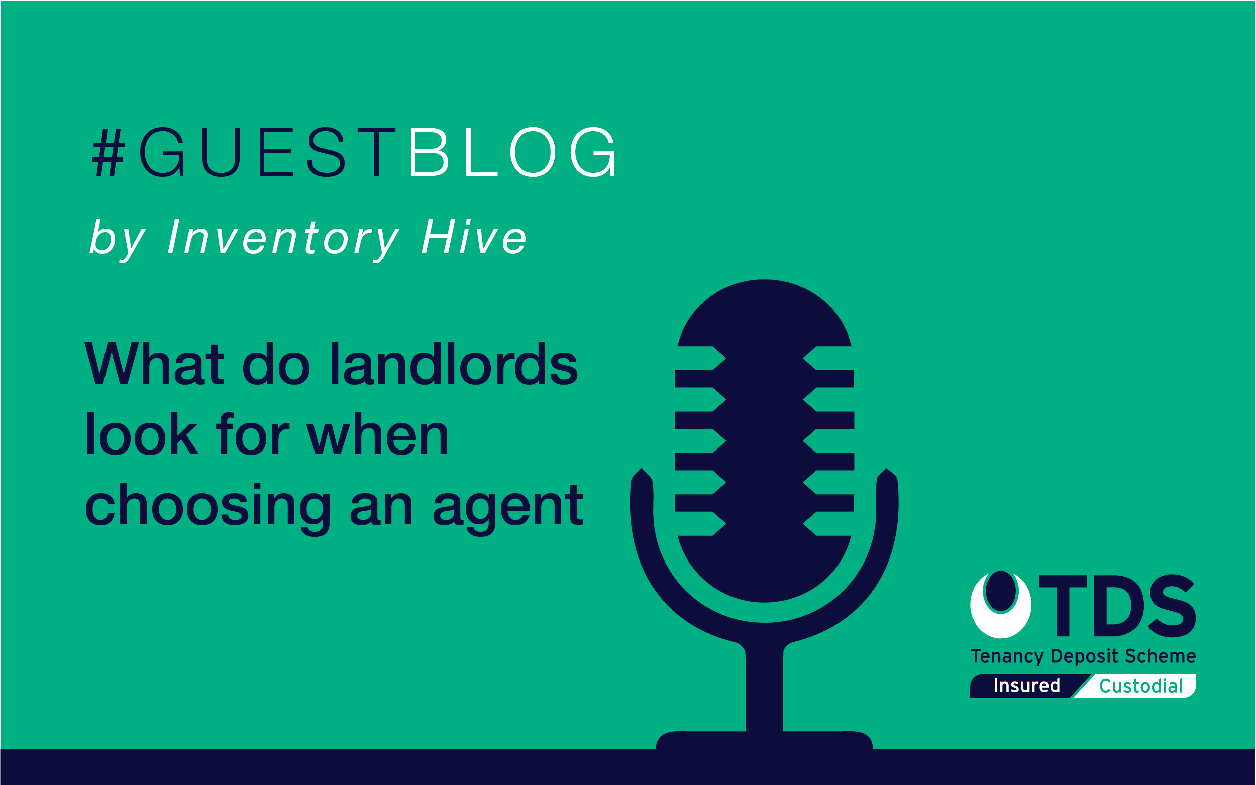 What Landlords Should Look For When Choosing A Letting Agent To Manage the-top-features-to-look-for-when-buying-a-kiddies-trike-for-your