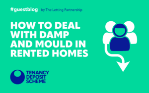 How to deal with damp and mould in rented homes
